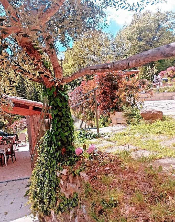 Il Podere Di Massi Barberino di Mugello Zewnętrze zdjęcie