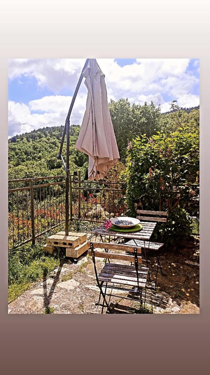 Il Podere Di Massi Barberino di Mugello Zewnętrze zdjęcie
