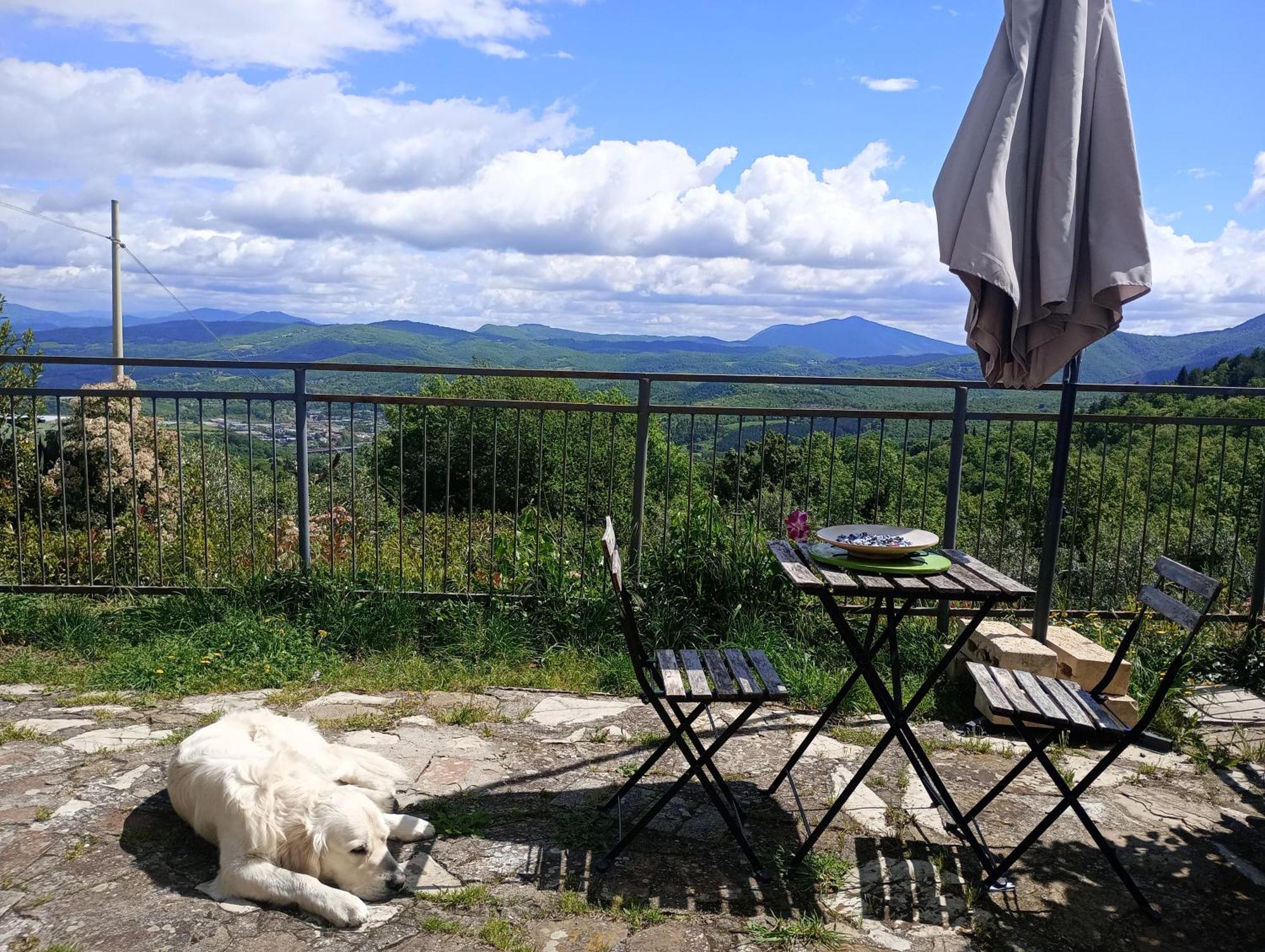 Il Podere Di Massi Barberino di Mugello Zewnętrze zdjęcie