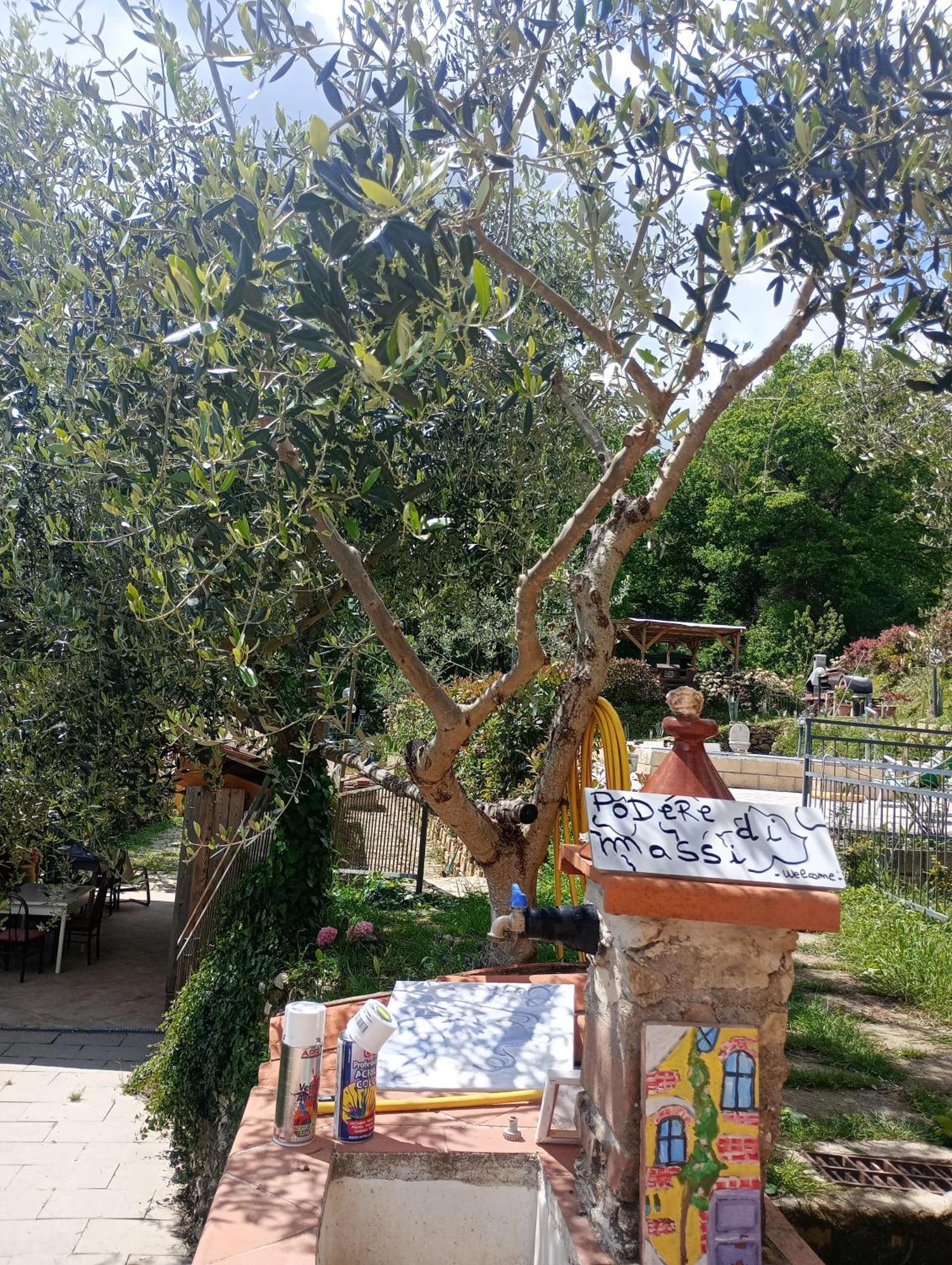 Il Podere Di Massi Barberino di Mugello Zewnętrze zdjęcie